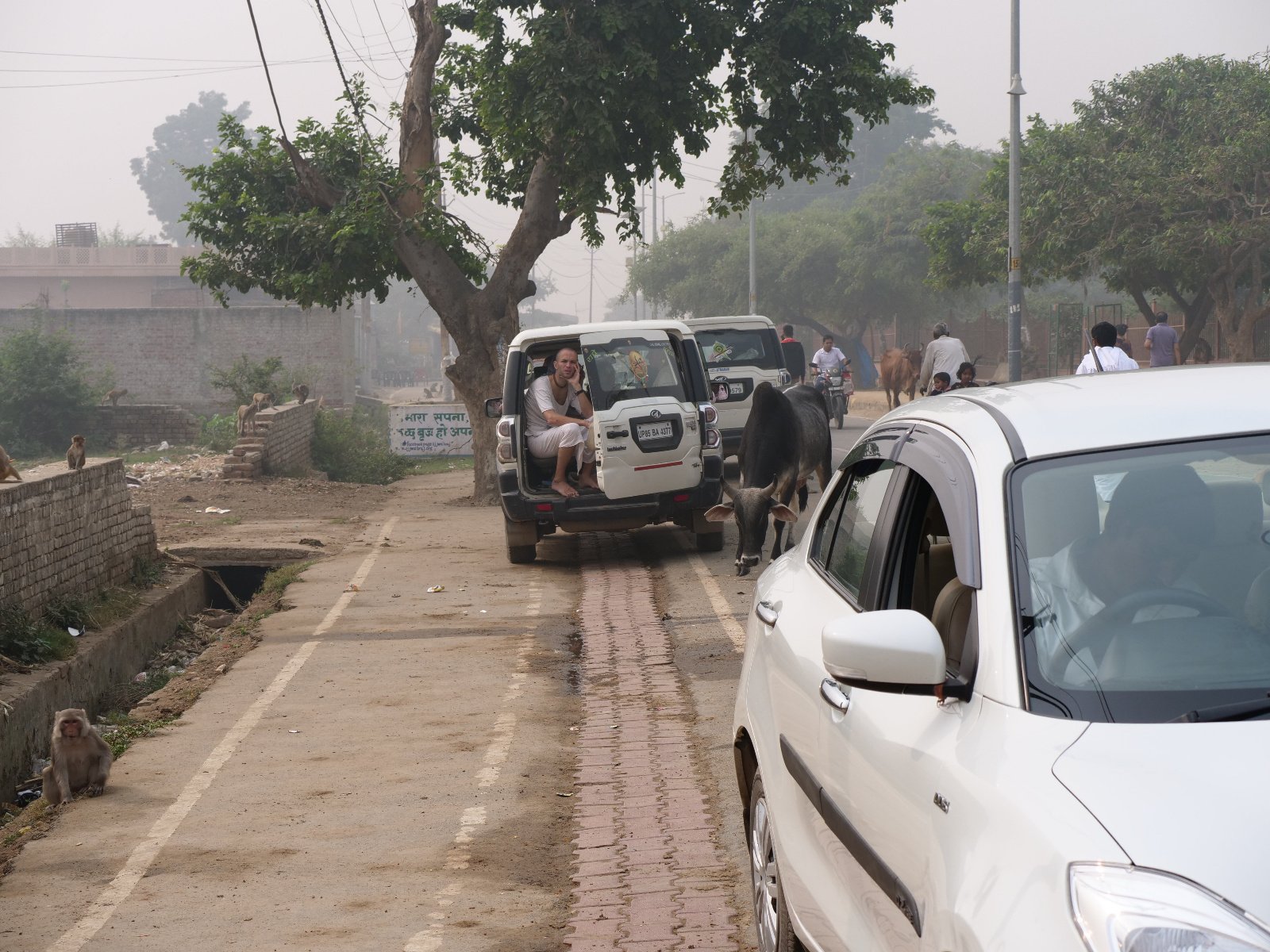  148 Gopashtami Radha kunda Govardhan 19.11.04